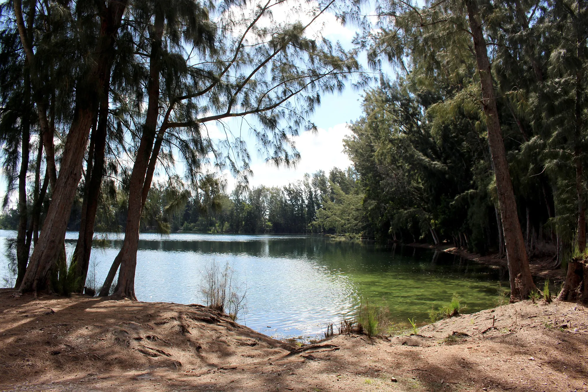 Wolf Lake Park - Davie